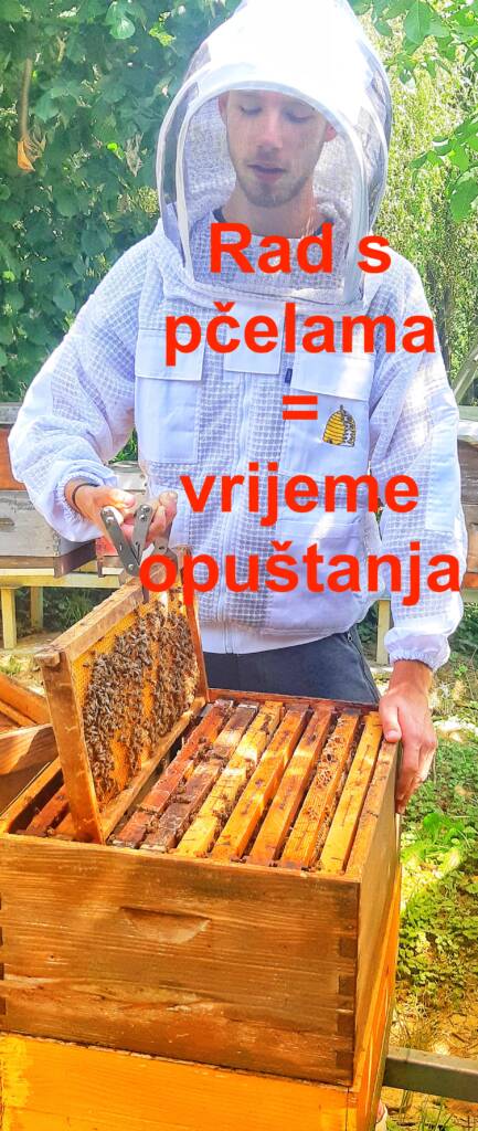 Pčelarstvo za početnike. Zašto postati pčelar? Osnove pčelarstva.