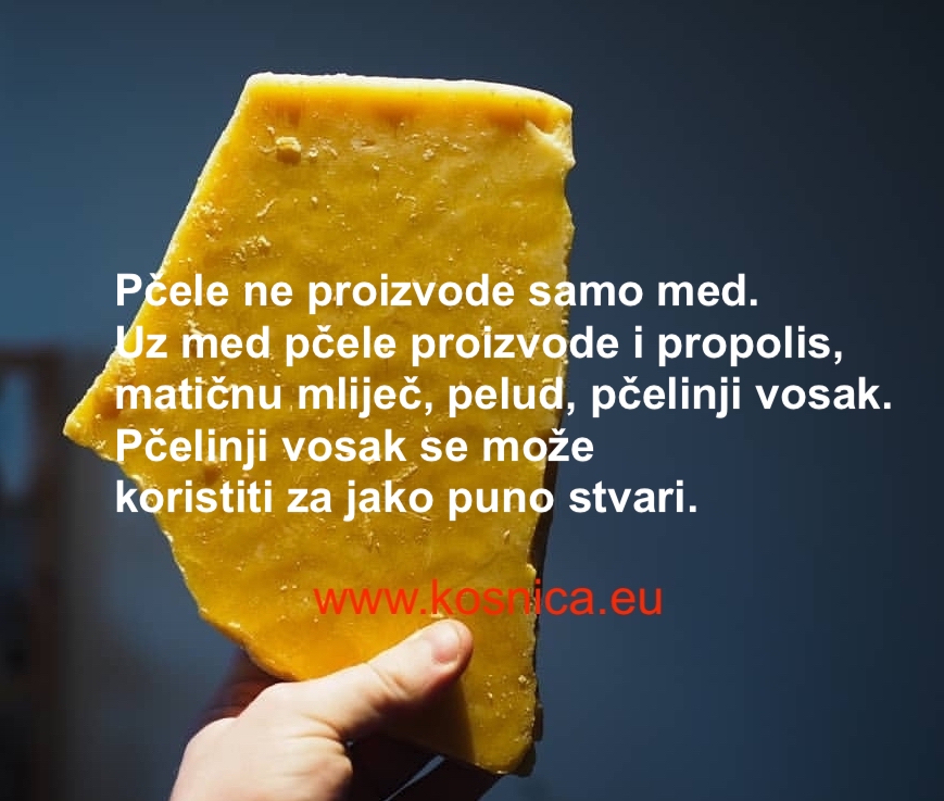 Pčelarstvo za početnike. U osnove pčelarstva ulazi i proizvodnja pčelinjeg voska