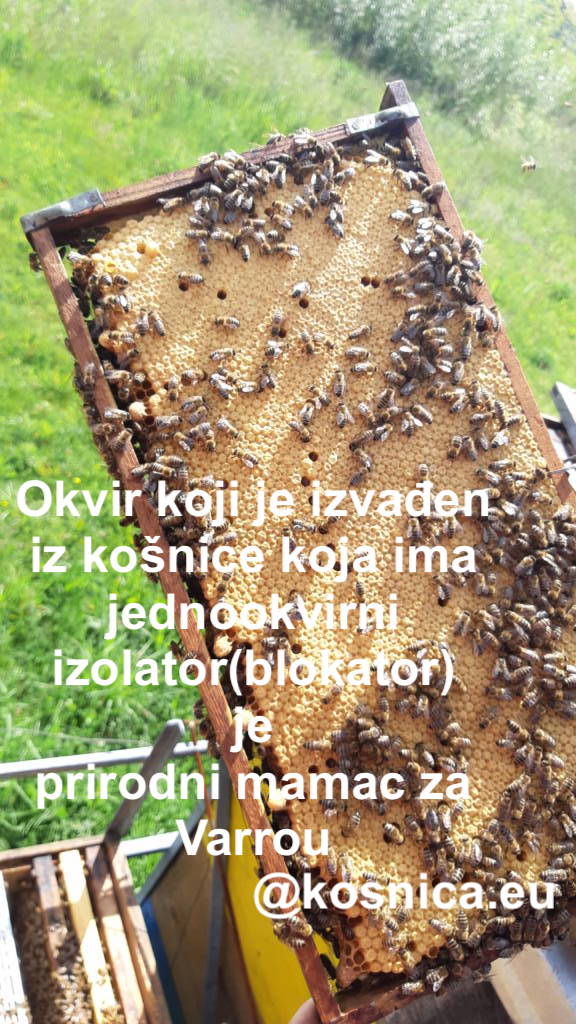 Jednookvirni blokator matice je idealan za početne pčelare jer na taj način upotpunosti imaju kontrolu nad pčelinjom zajednicom.