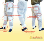 Pčelarske ventilirajuće zaštitne hlaće se koriste prilikom pčelarenja. Ventilirajuće zaštitne hlače su dio pčelarske zaštitne odjeće za pčelarstvo