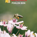 Poklon bon je idealan poklon za pčelara. Može se pokloniti za rođendan, Božić, godišnjicu... pčelarska oprema je uvijek idealan poklon za svakog pčelara